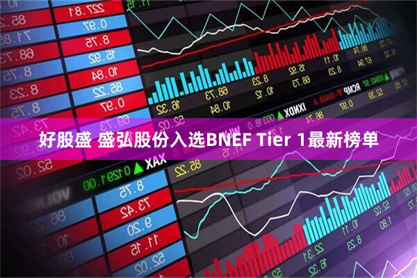 好股盛 盛弘股份入选BNEF Tier 1最新榜单