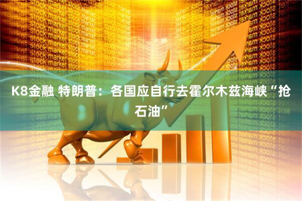 K8金融 特朗普：各国应自行去霍尔木兹海峡“抢石油”
