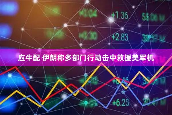 应牛配 伊朗称多部门行动击中救援美军机