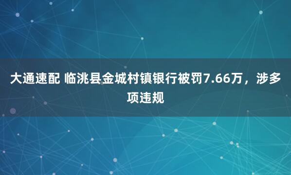 大通速配 临洮县金城村镇银行被罚7.66万，涉多项违规