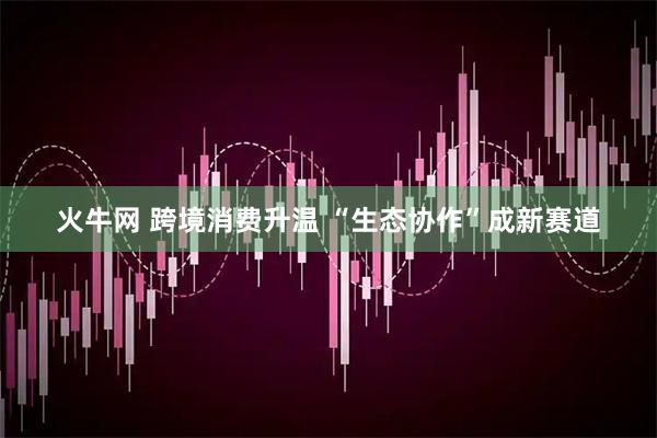 火牛网 跨境消费升温 “生态协作”成新赛道