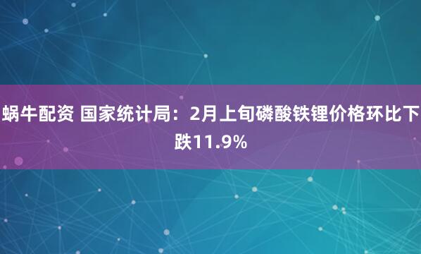 蜗牛配资 国家统计局：2月上旬磷酸铁锂价格环比下跌11.9%