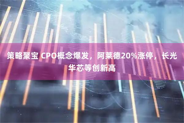 策略聚宝 CPO概念爆发，阿莱德20%涨停，长光华芯等创新高