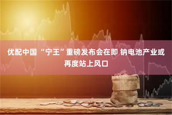 优配中国 “宁王”重磅发布会在即 钠电池产业或再度站上风口