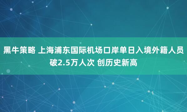 黑牛策略 上海浦东国际机场口岸单日入境外籍人员破2.5万人次 创历史新高