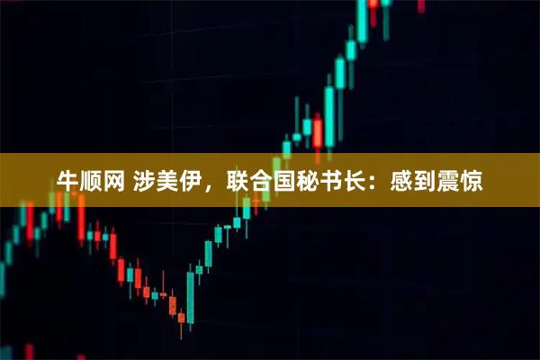 牛顺网 涉美伊,联合国秘书长:感到震惊