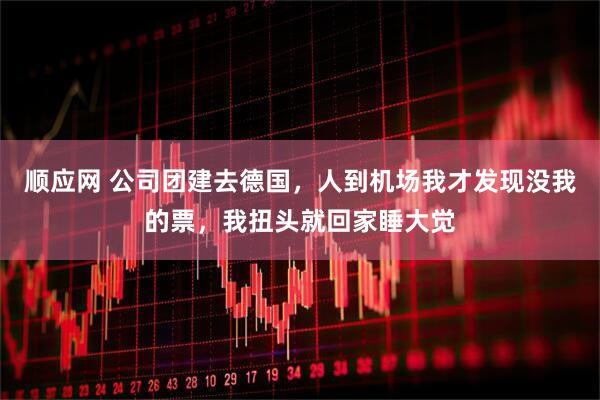 顺应网 公司团建去德国，人到机场我才发现没我的票，我扭头就回家睡大觉